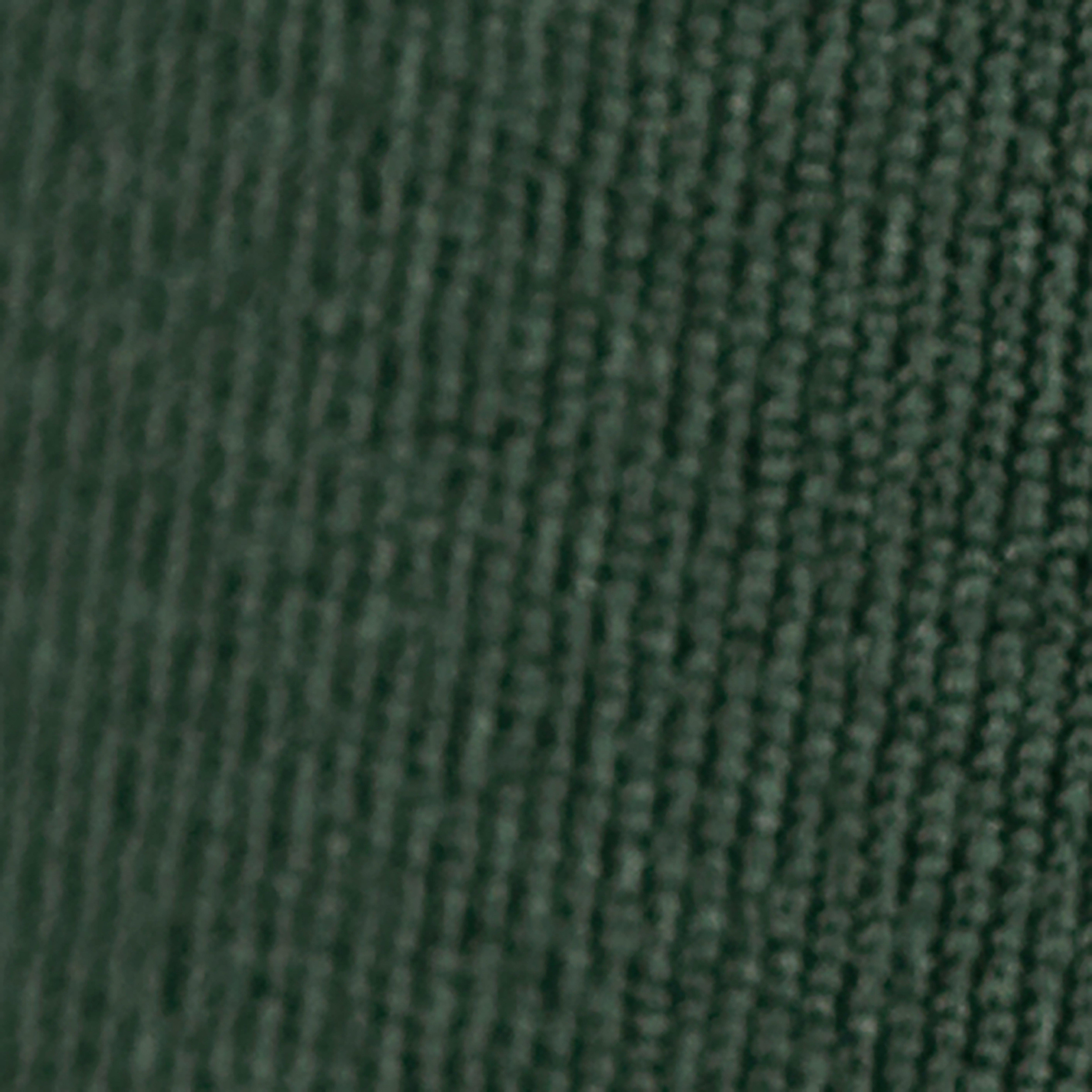 Swatch color Trek Green