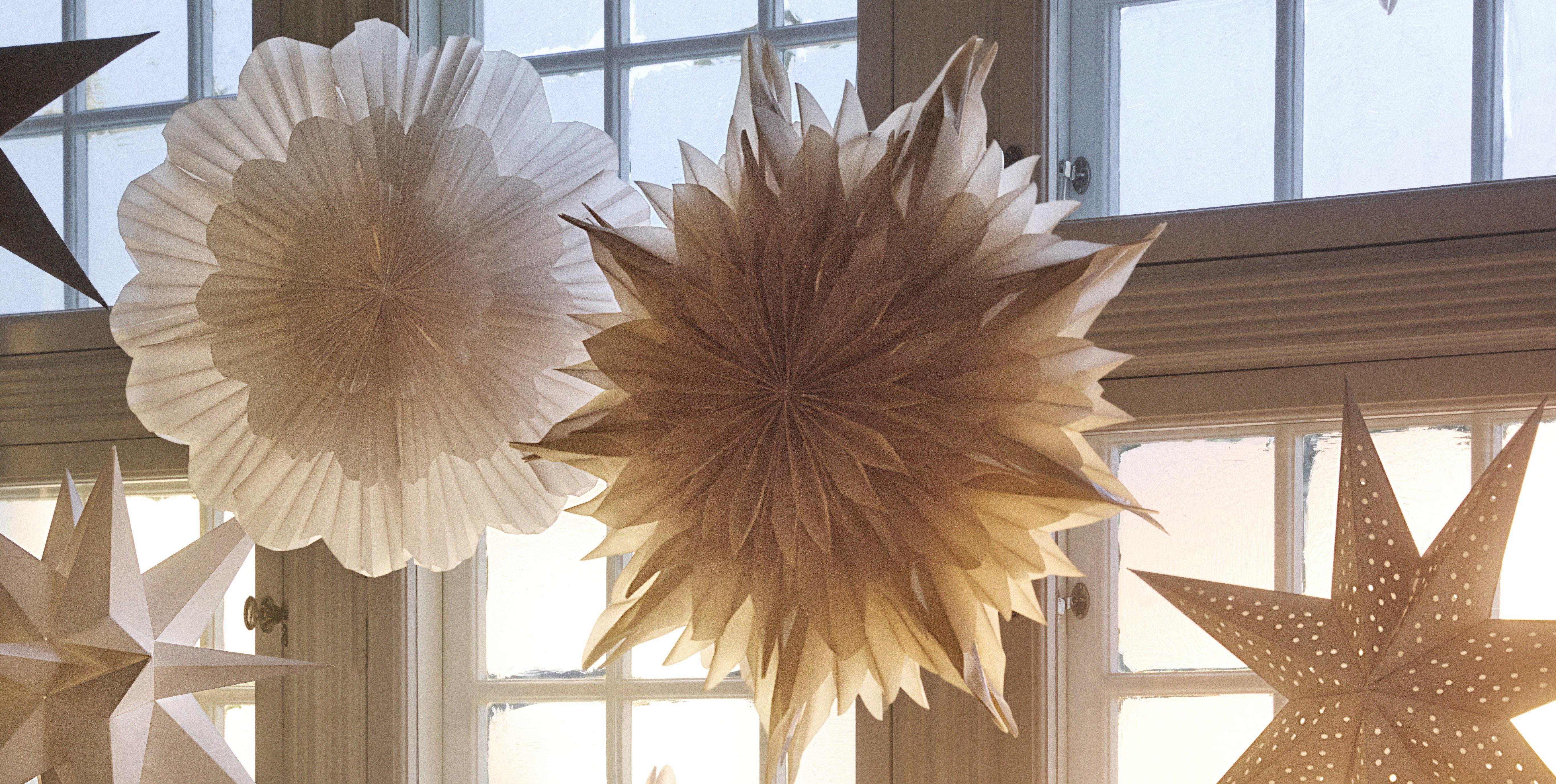 julstjärnor i ett fönster