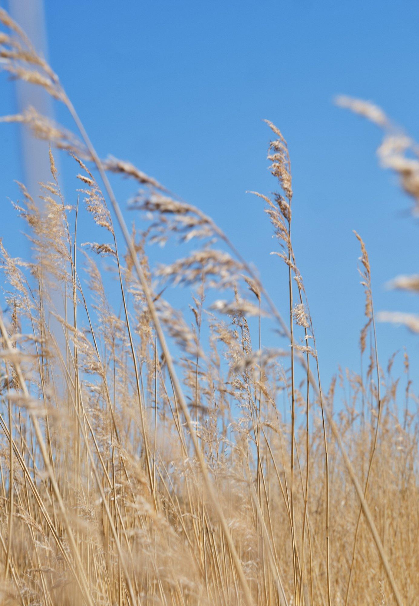 Samarbete & Innovation