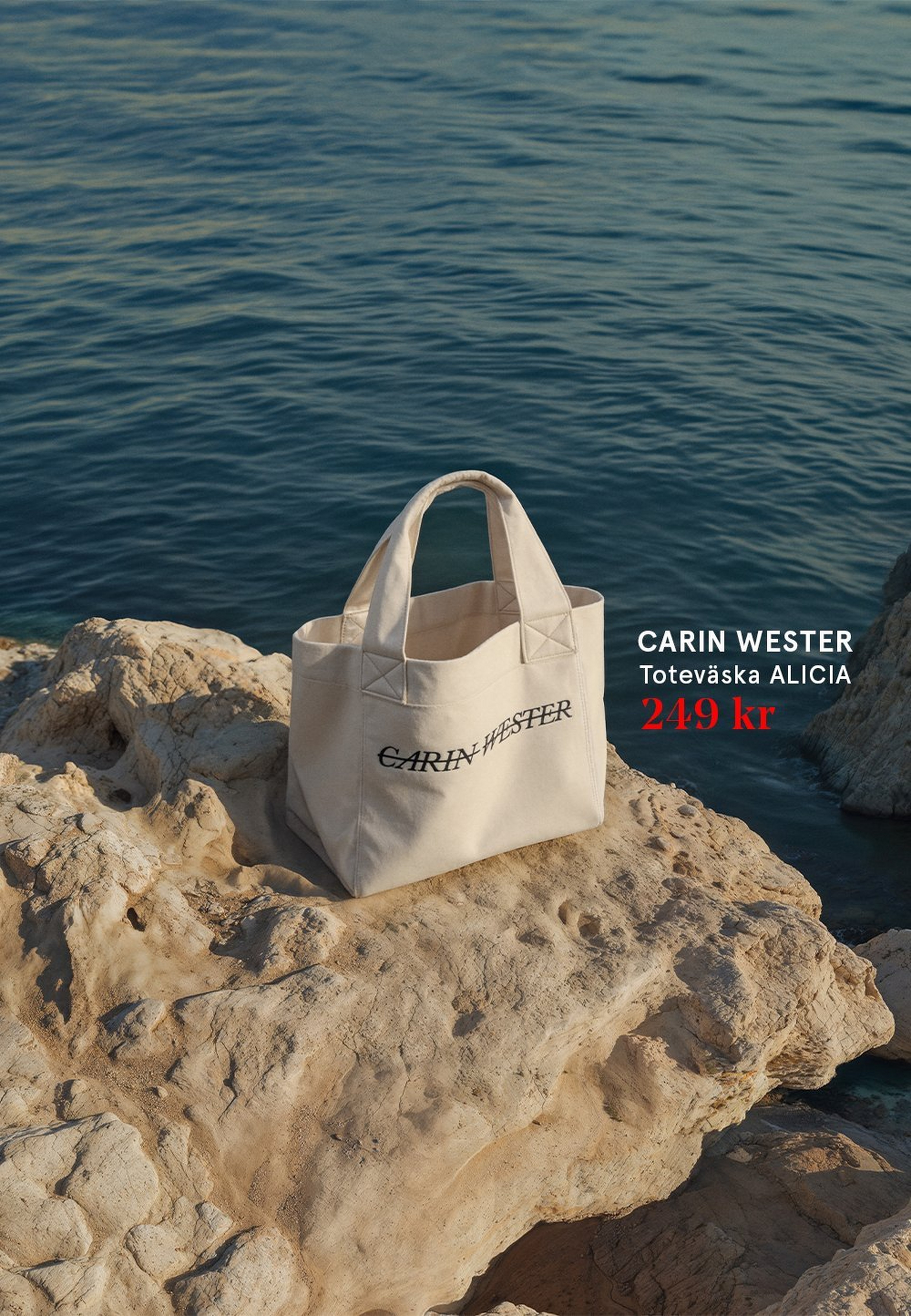 carin wester väska på klippa