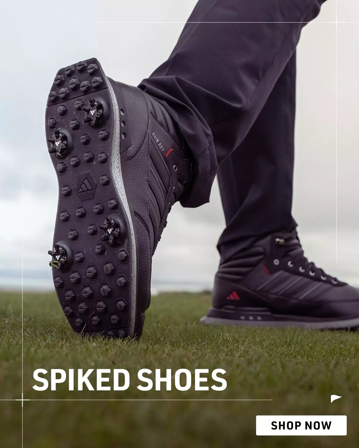 SPIKED