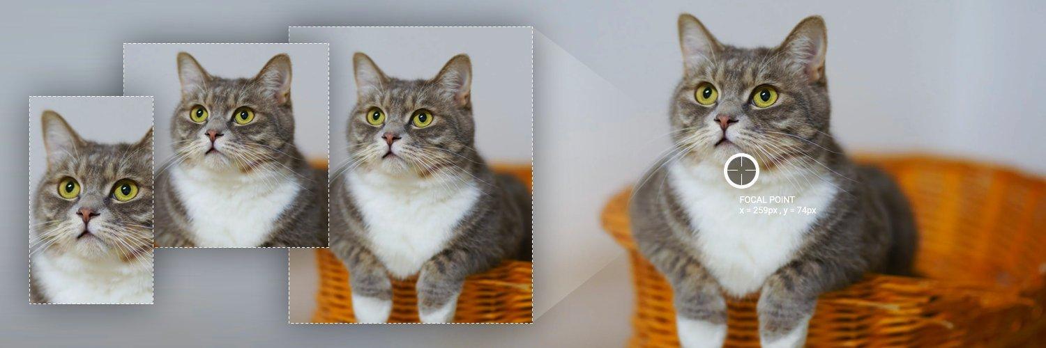 How to Optimize Your Images: Part 2 - The Picture Tag