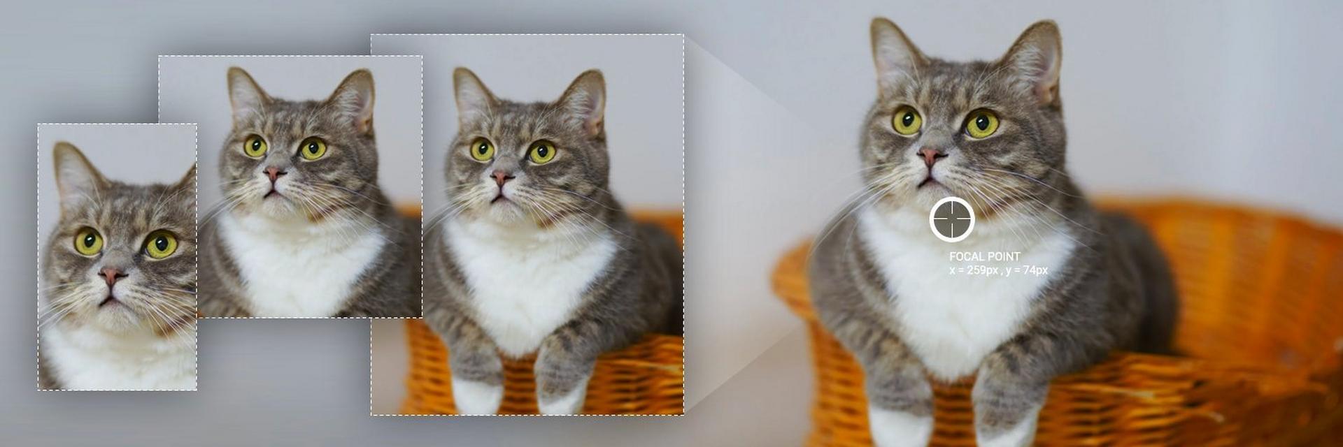 How to Optimize Your Images: Part 2 - The Picture Tag