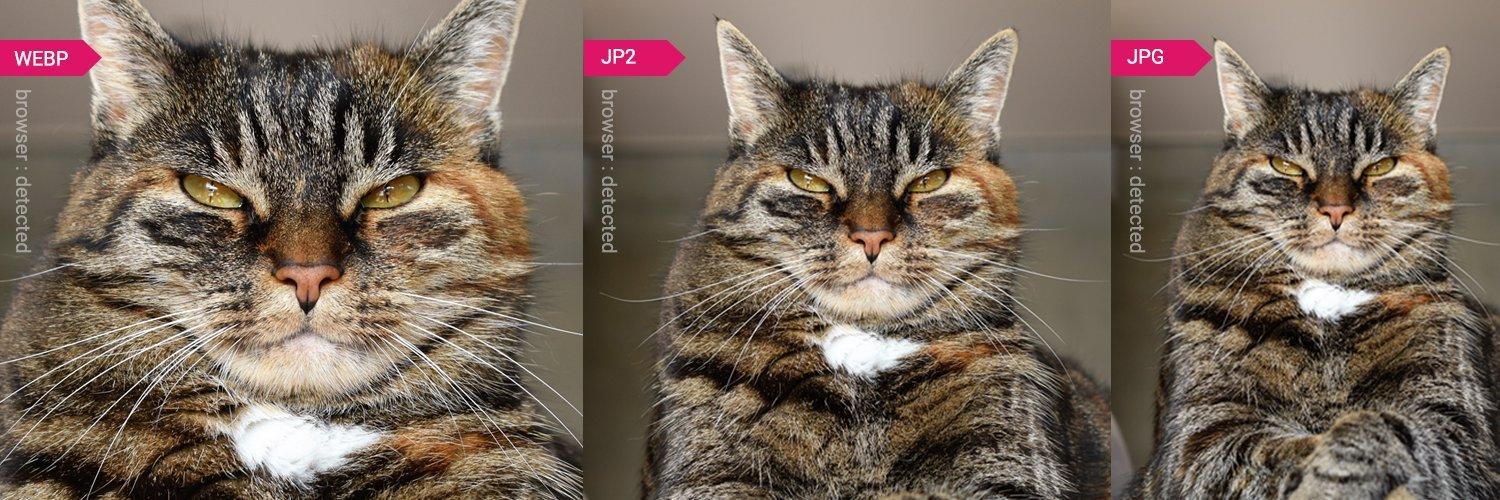 Part 3: How Amplience Helps to Simplify Your Picture Tags