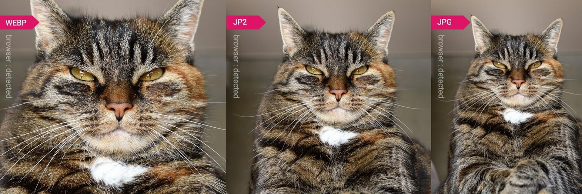 Part 3: How Amplience Helps to Simplify Your Picture Tags