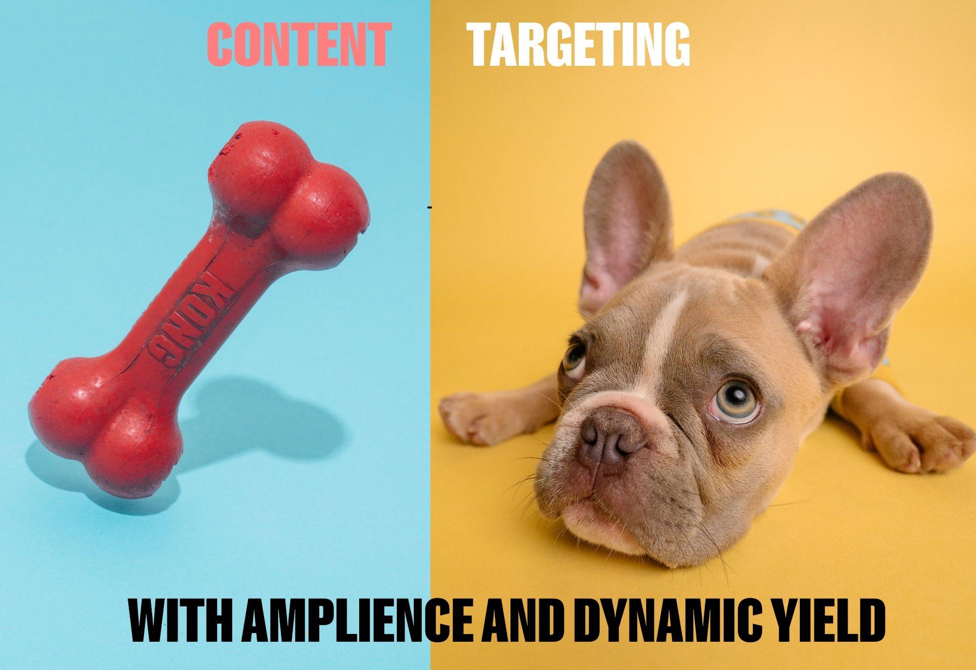 Dog and bone hero image