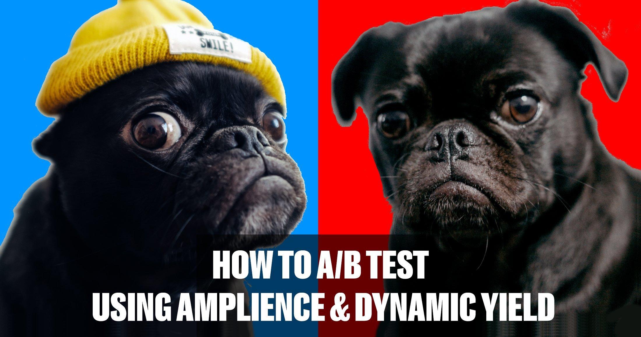 How to A/B test using the Amplience Headless CMS and Dynamic Yield Experience APIs