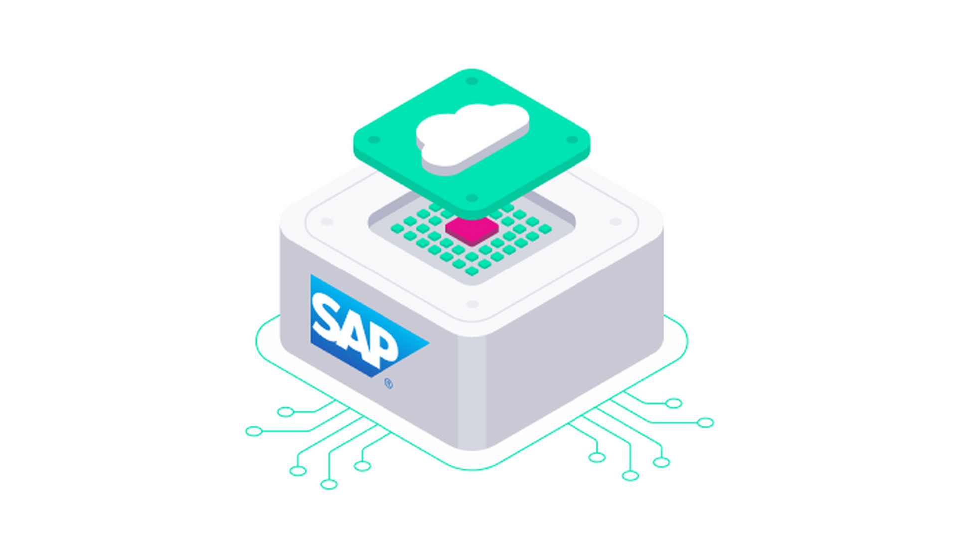Connected SAP icon