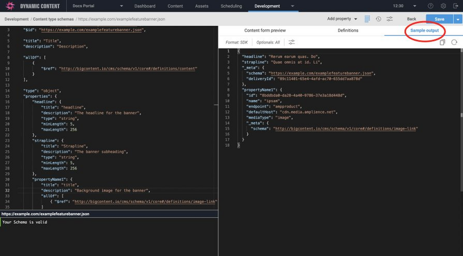 Clicking the sample output tab will display example JSON output