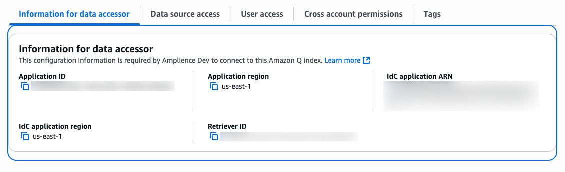Amazon Q Information for data accessor