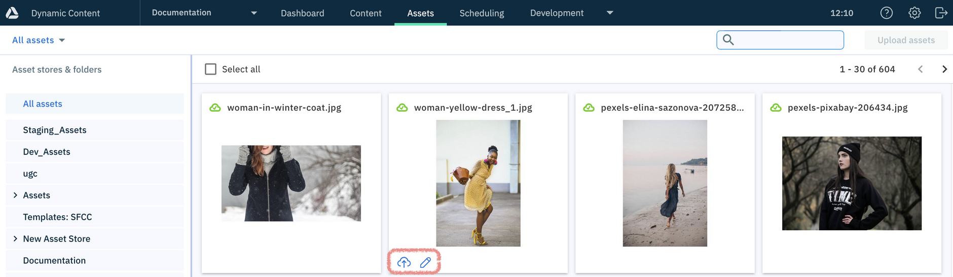 Asset cards in Dynamic Content
