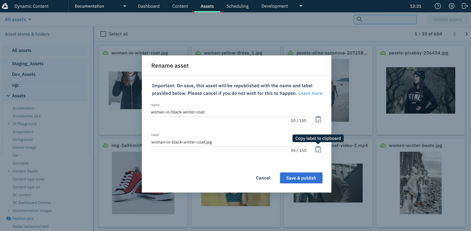 Renaming an asset with the Assets tab