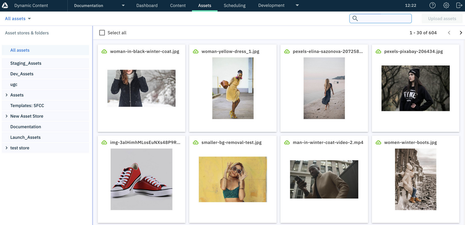 Assets tab showing renamed asset