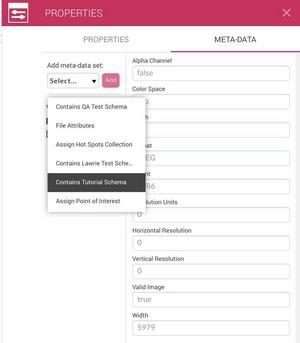 Selecting the tutorial schema in the asset properties