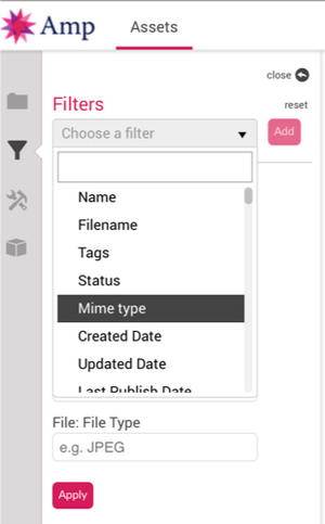 Choosing to filter assets by Mime type