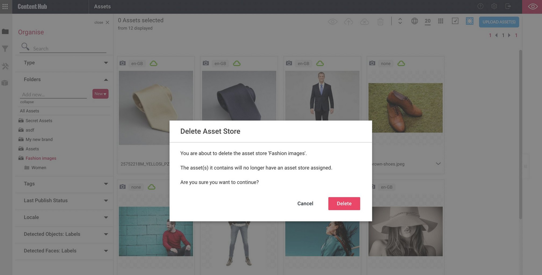 The Delete asset store dialog