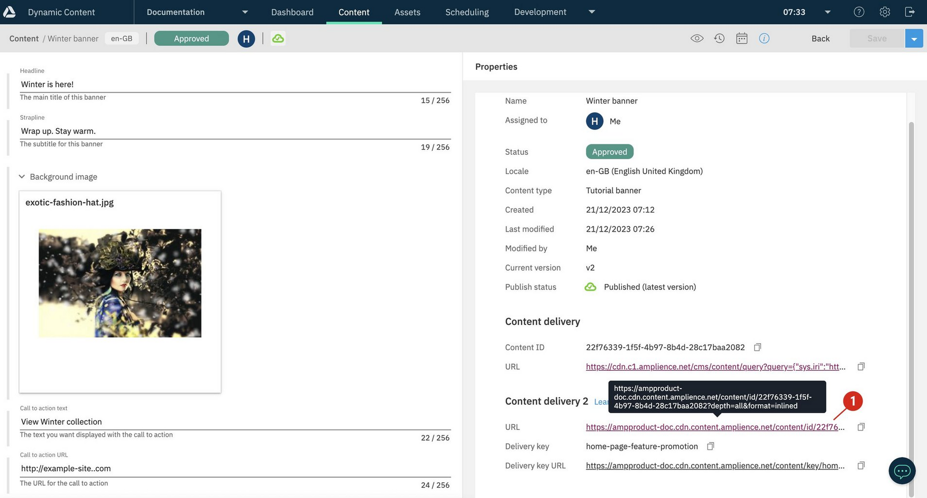 The content item properties pane with Content Delivery 2 section