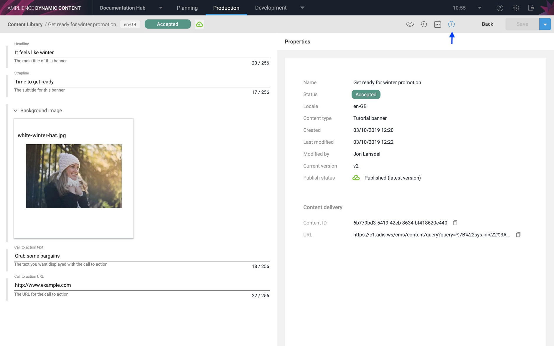 The properties pane for a content item, including the publish status, creation and modification date, locale and item status