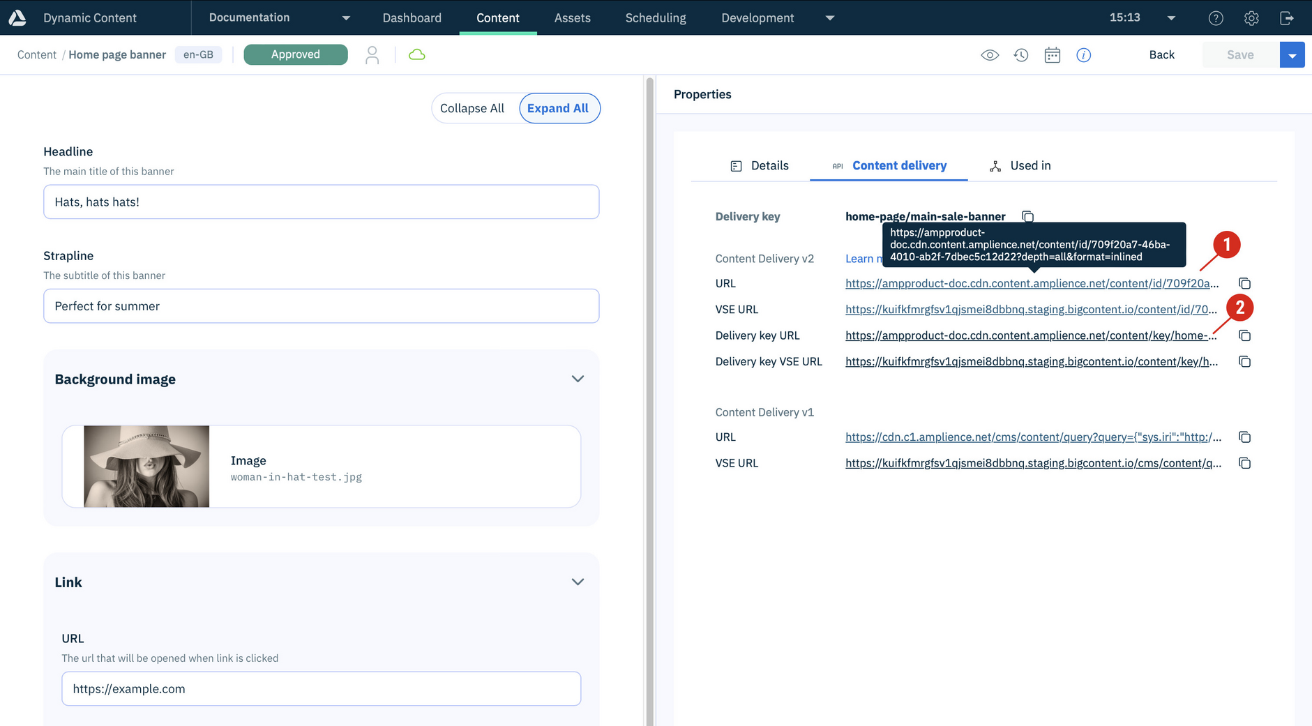 The content item properties pane includes a Content Delivery v2 section.