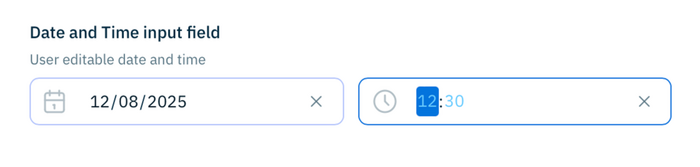Date time input