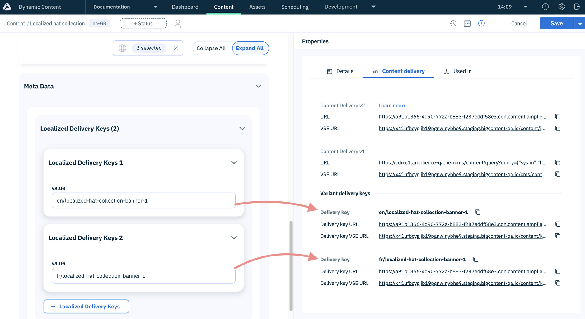 Content properties- Content Delivery variant keys