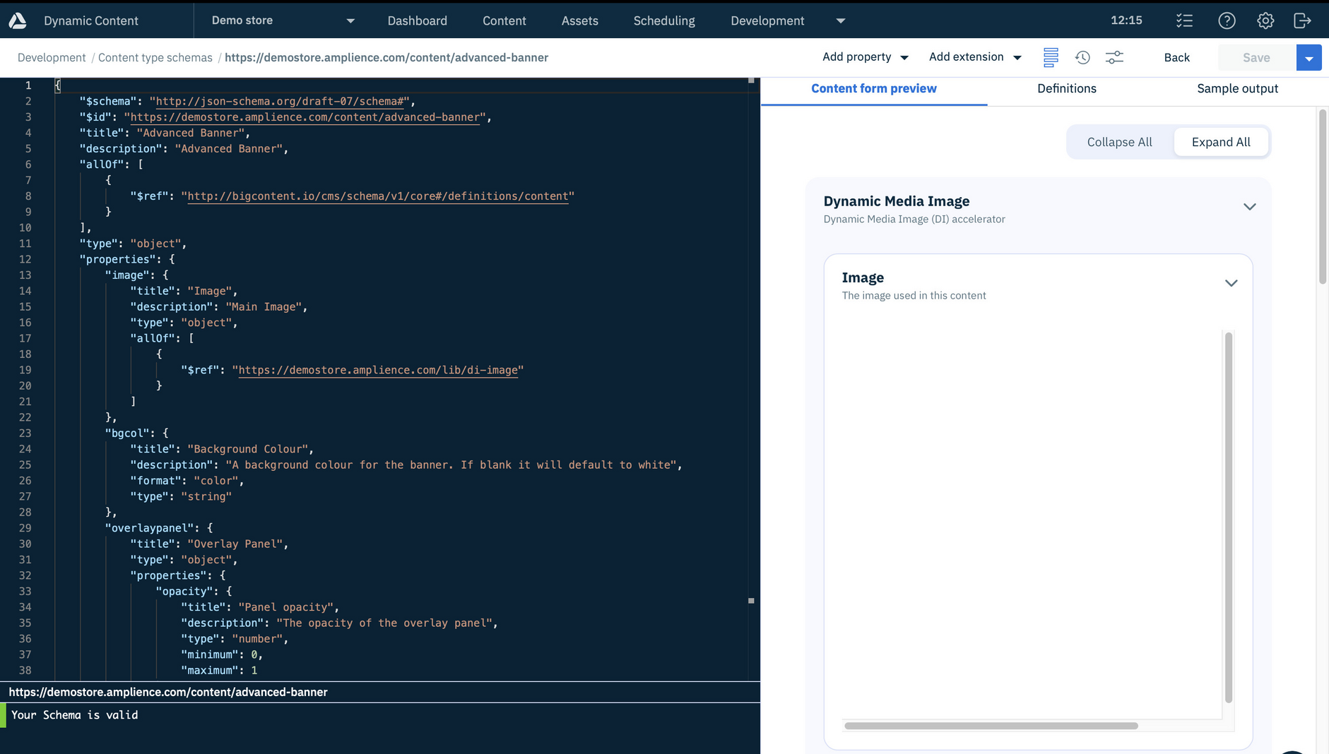 Opening the content type schema in the Amplience CMS
