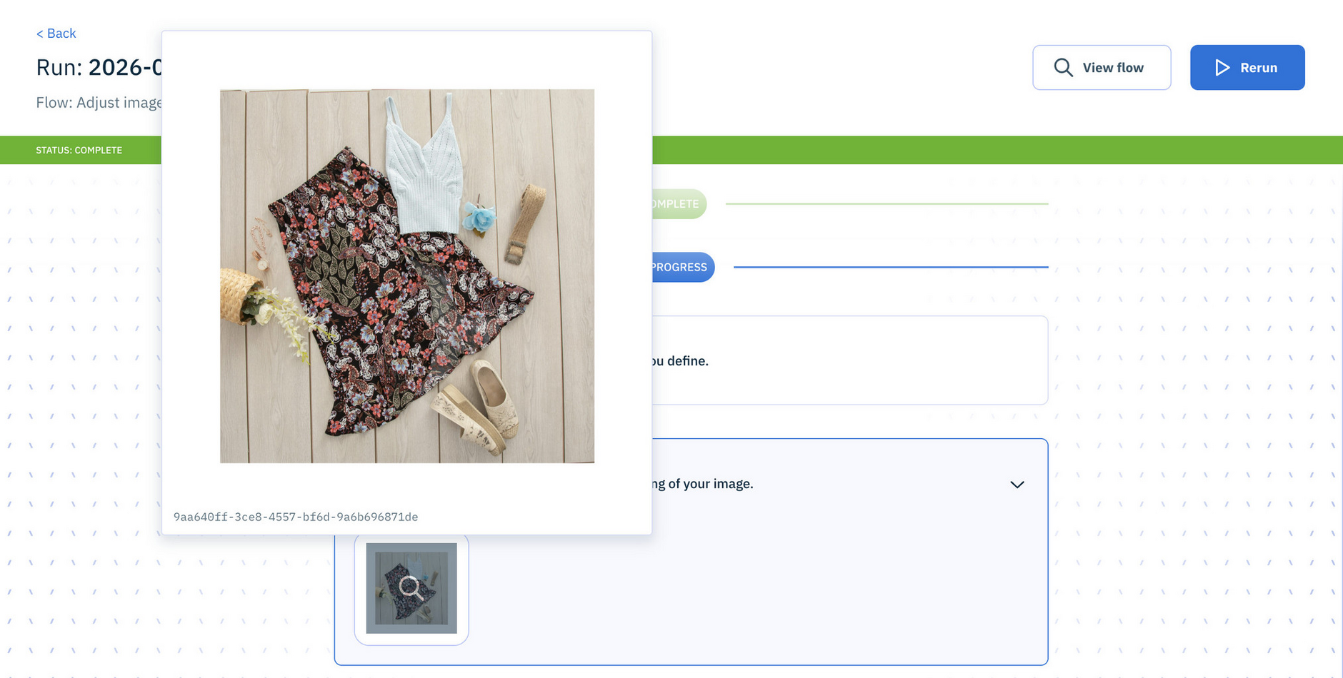 Workforce run window showing an image magnified for viewing