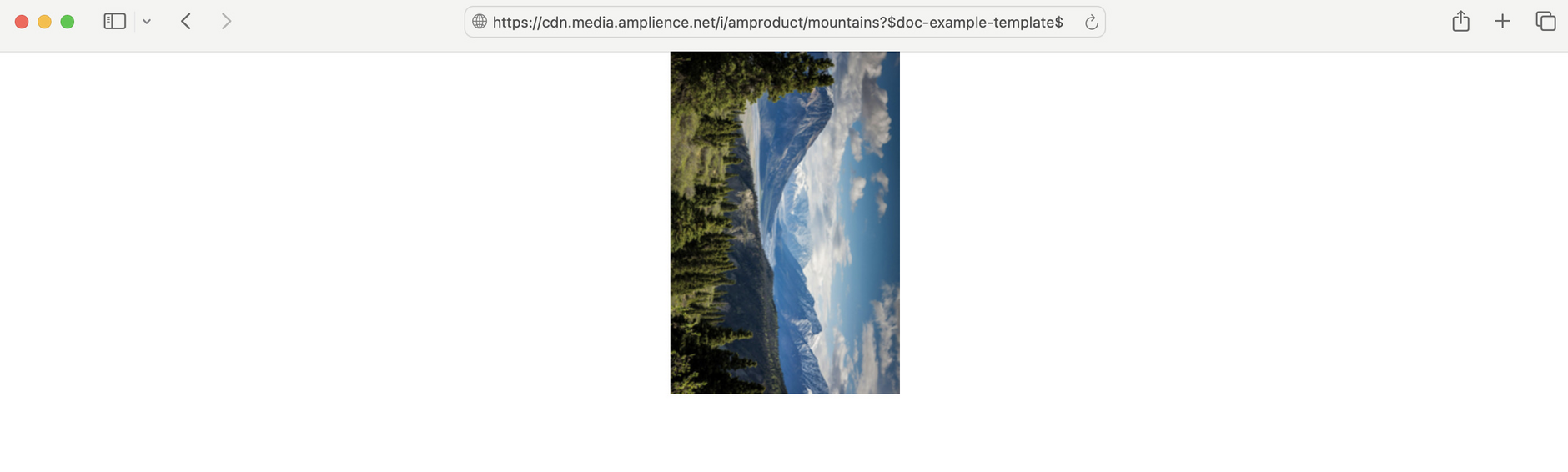 An image with the image template applied