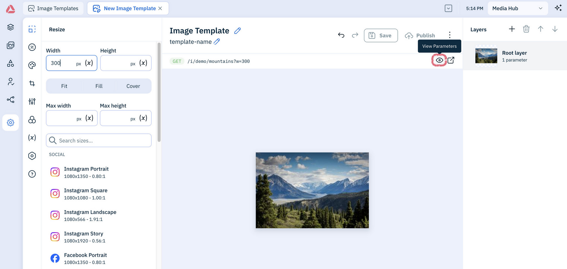 Amplience platform Settings image template window, with the switch to parameter options button highlighted