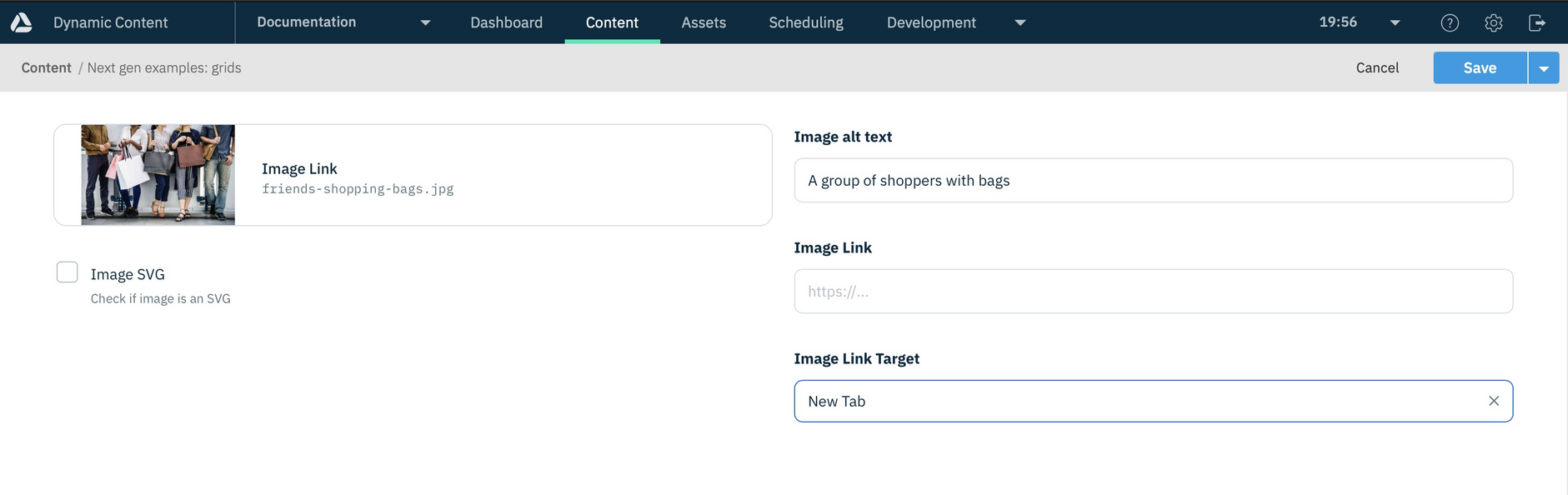 The content form showing content created from the grids schema