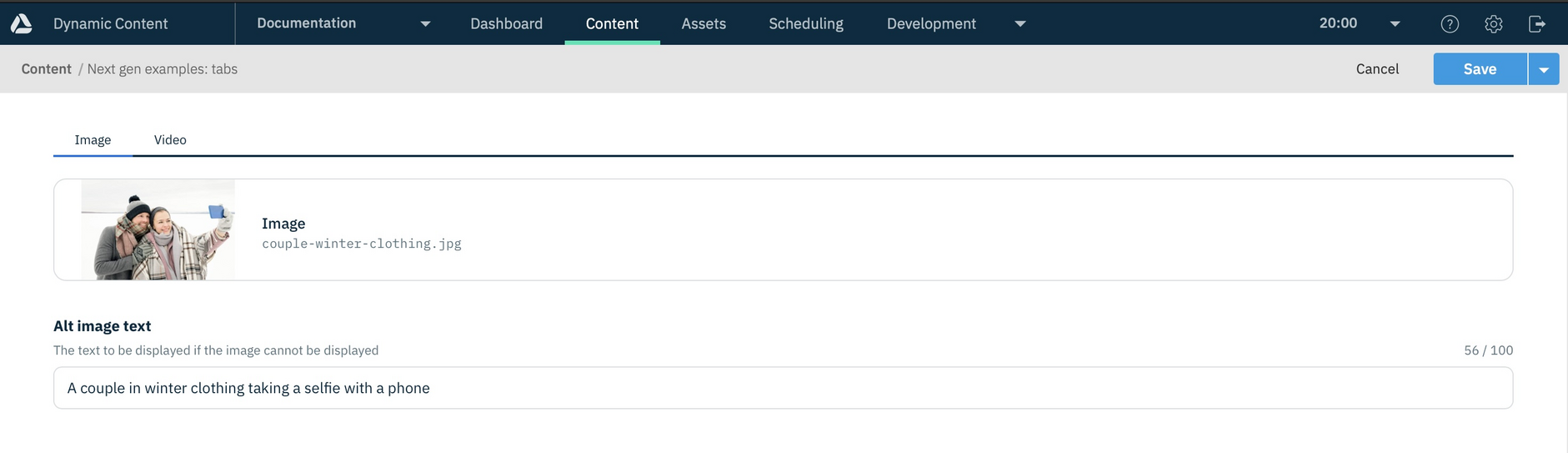 The content form showing content created from the tabs schema