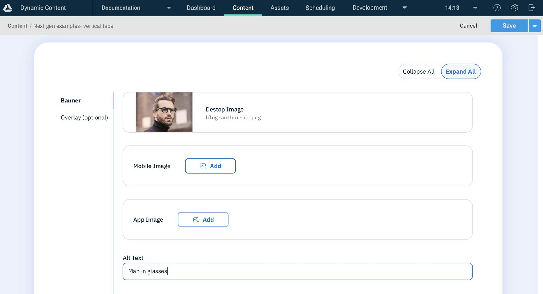 The content form showing fields grouped into tabs displayed vertically