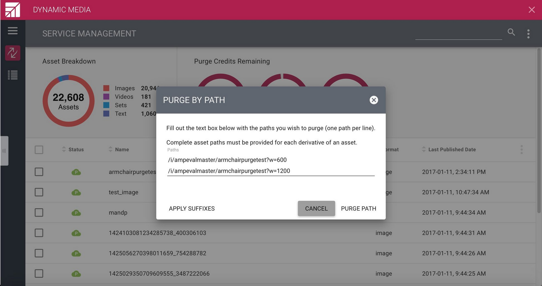 Using add suffix to specify paths to purge.