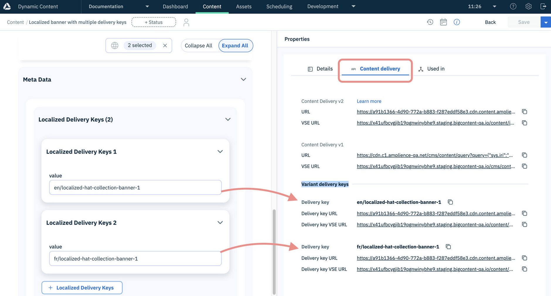 Dynamic Content properties Content Delivery tab