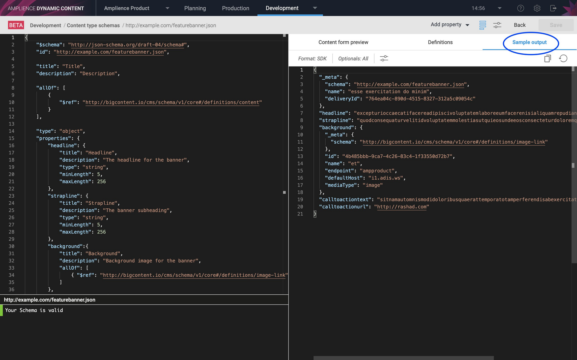 The schema editor | Amplience Developer Portal image.