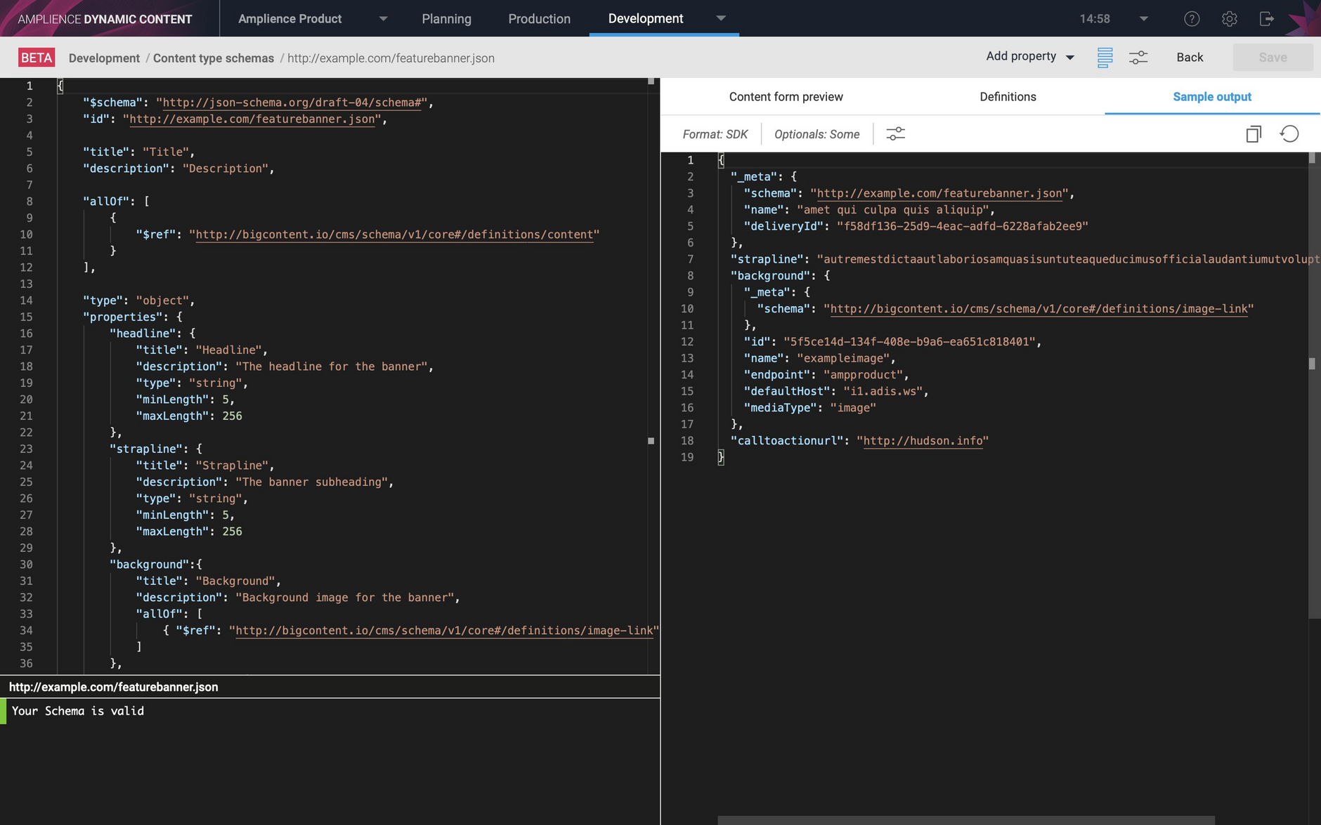 This example shows the JSON output with some optional properties included