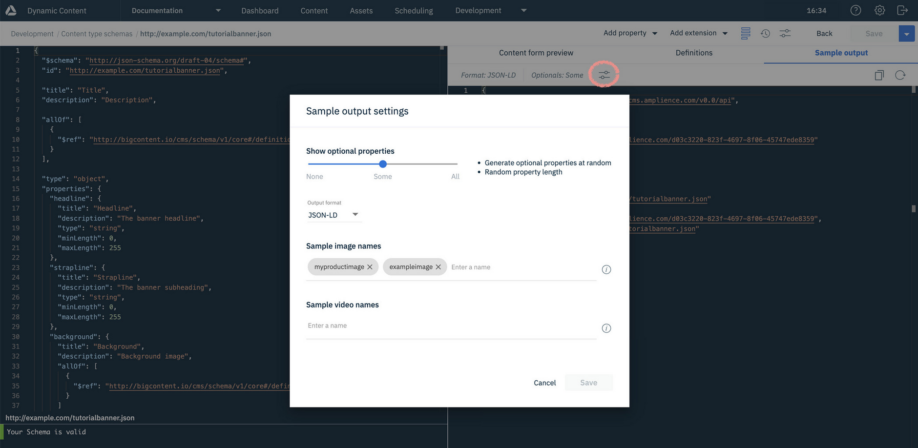Schema editor showing the Sample output settings dialog
