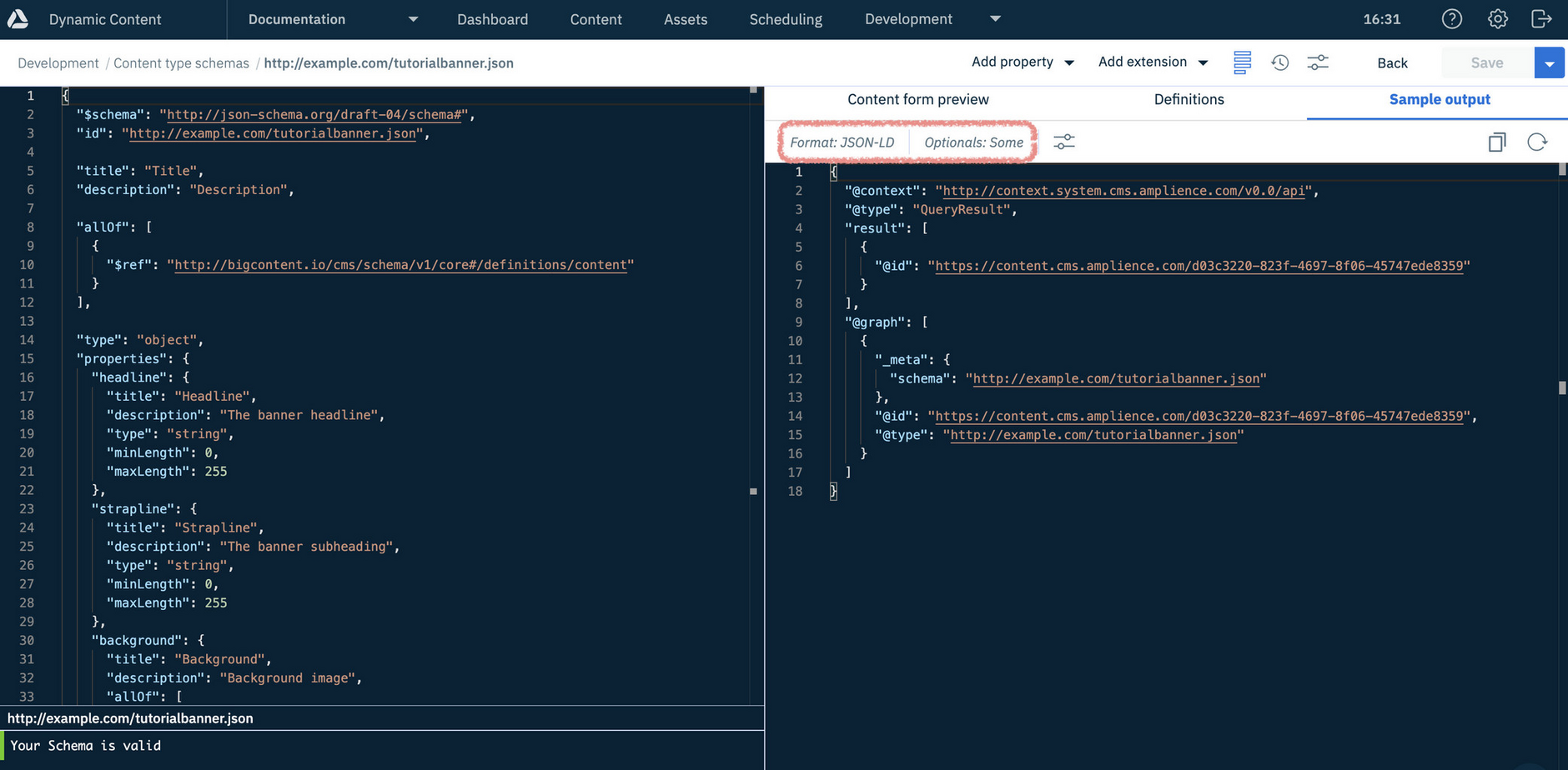 Schema editor showing sample JSON output with some optional properties included