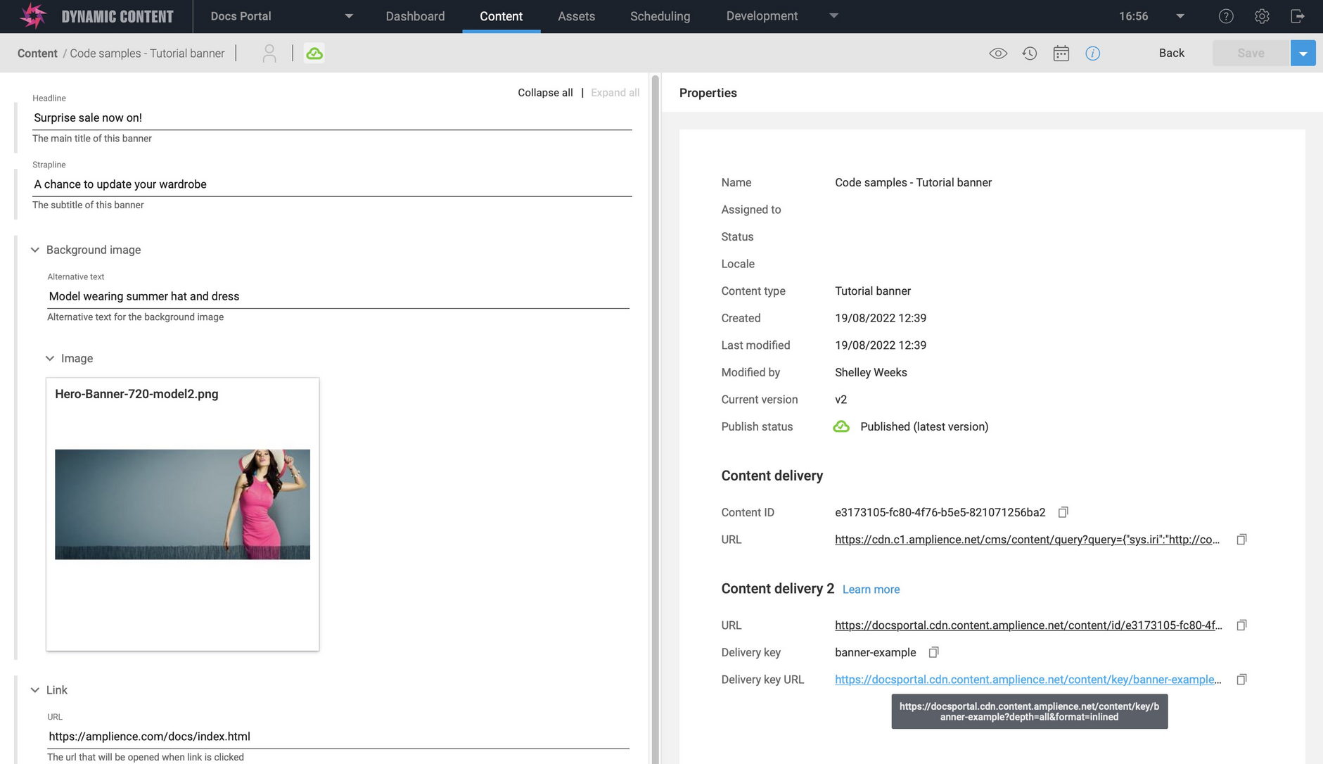 Step 3: Publish  Amplience Developer Portal