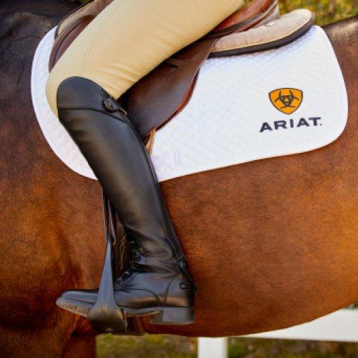 ariat english riding boots