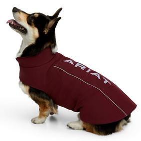 ariat dog jackets