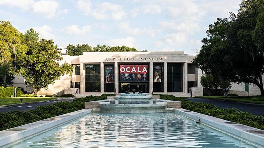 A Local Guide: 13 Things to do in Ocala, FL