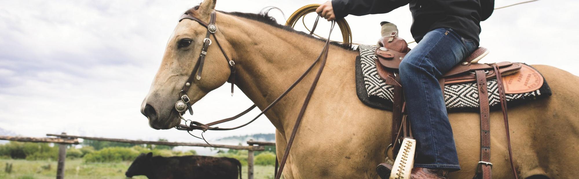 What Are the Different Types of Western Horseback Riding?