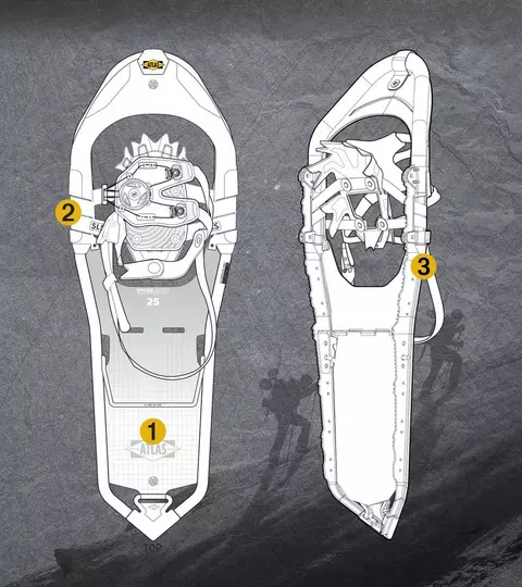 Atlas Apex Snowshoes Collection Atlas Apex Snowshoes Collection