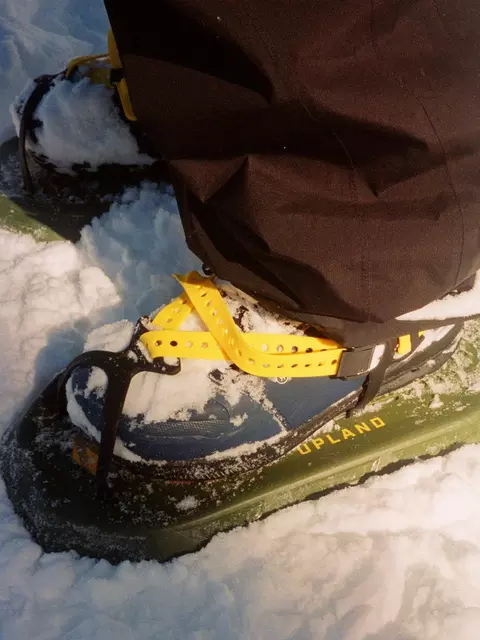 Our Guide to the Best Snowshoes in Canada in 2024 (And Where to Get Them)
