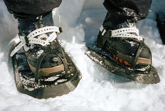 atlas_2425_mm-banner_upland_2?