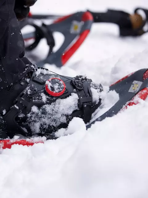 Atlas Treeline Men's Snowshoes 2025 | Atlas Snow-Shoe Company Atlas Treeline Men's Snowshoes 2025 | Atlas Snow-Shoe Company