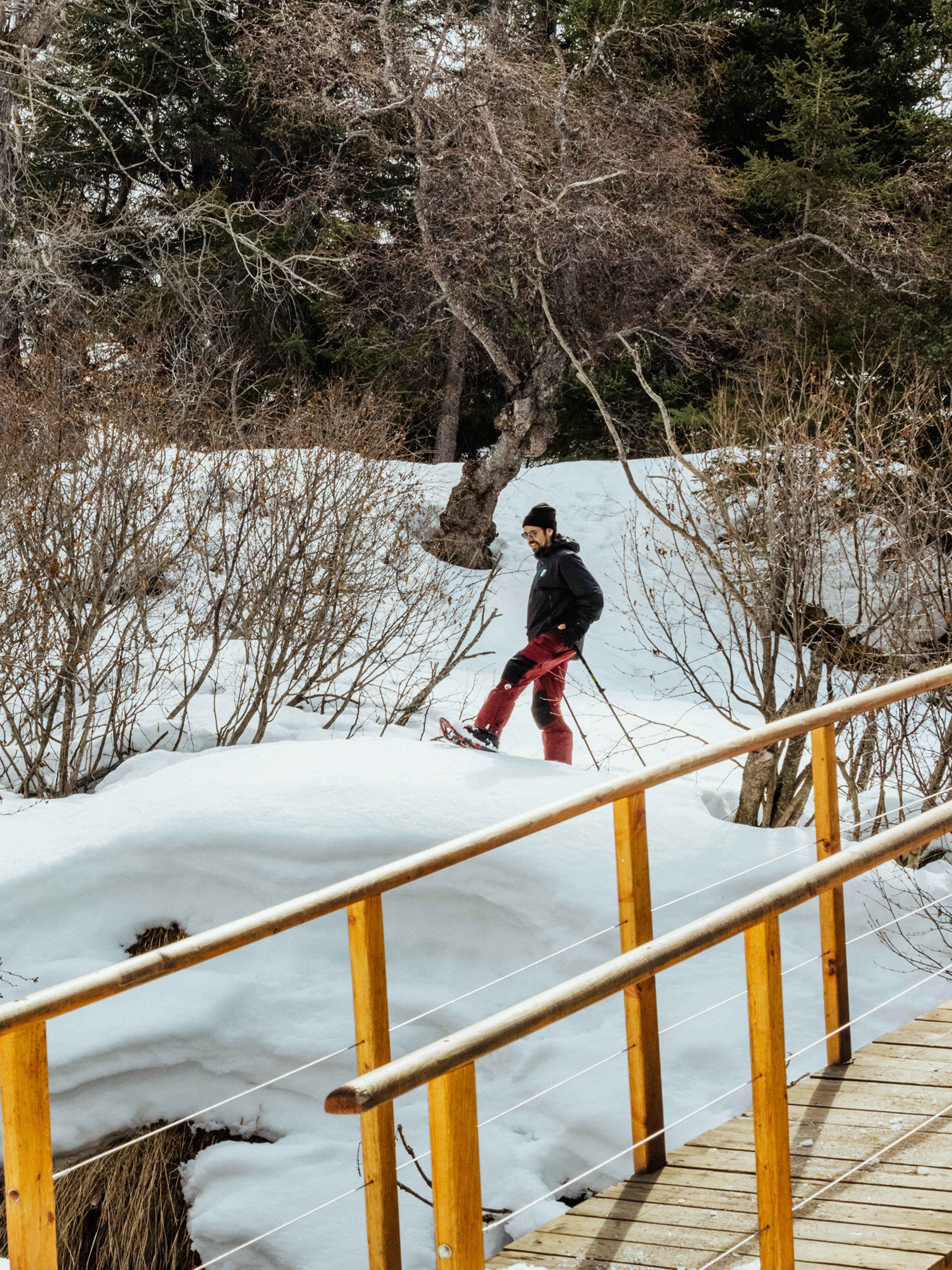 Atlas Treeline Snowshoes