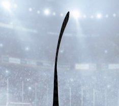 Hockey Stick Curvature Guide