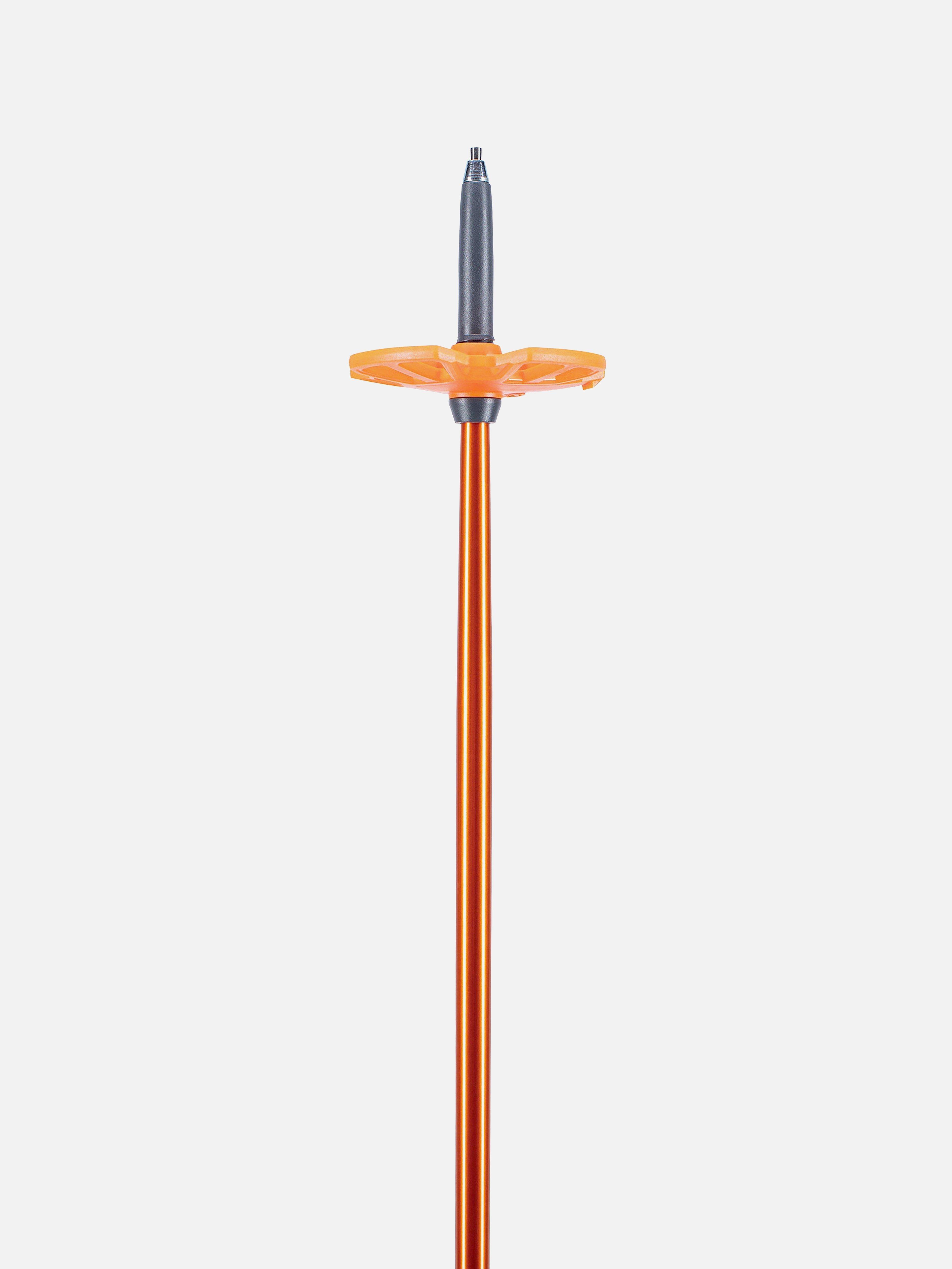 BCA Scepter™ Adjustable Aluminium Pole 2025 | Backcountry Access